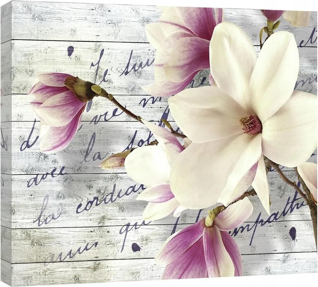 Vászonkép 60x40 Magnólia virágok tavasz finomság vintage természet