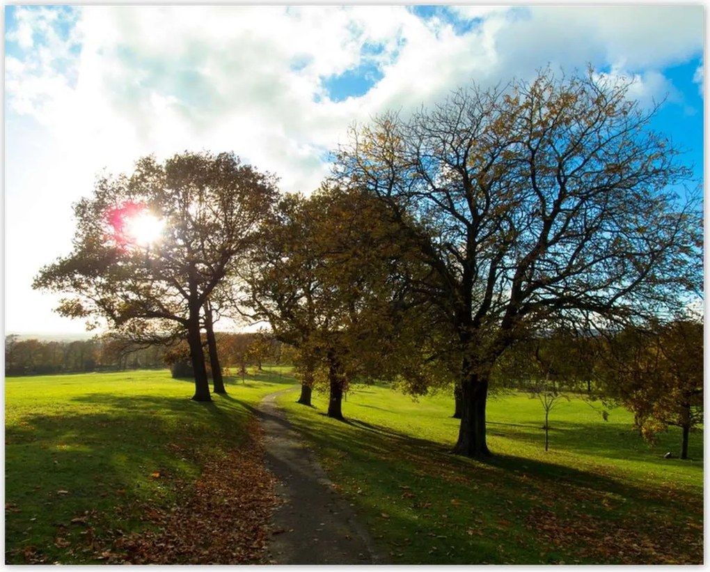 Poszterek 50x40 Őszi tájkép