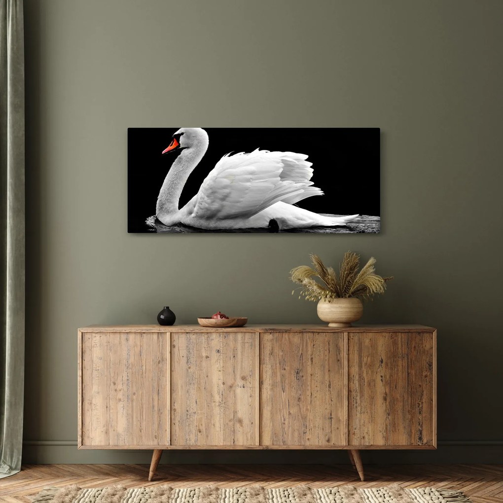 Fekete-fehér hattyúk képe (120x50 cm)