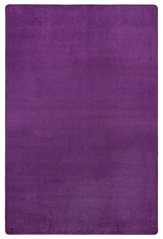 Sötétlila szőnyeg 160x240 cm Fancy – Hanse Home