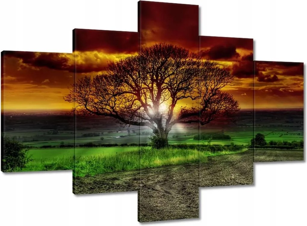 Vászonkép 100x70 Varázslatos fa tájkép