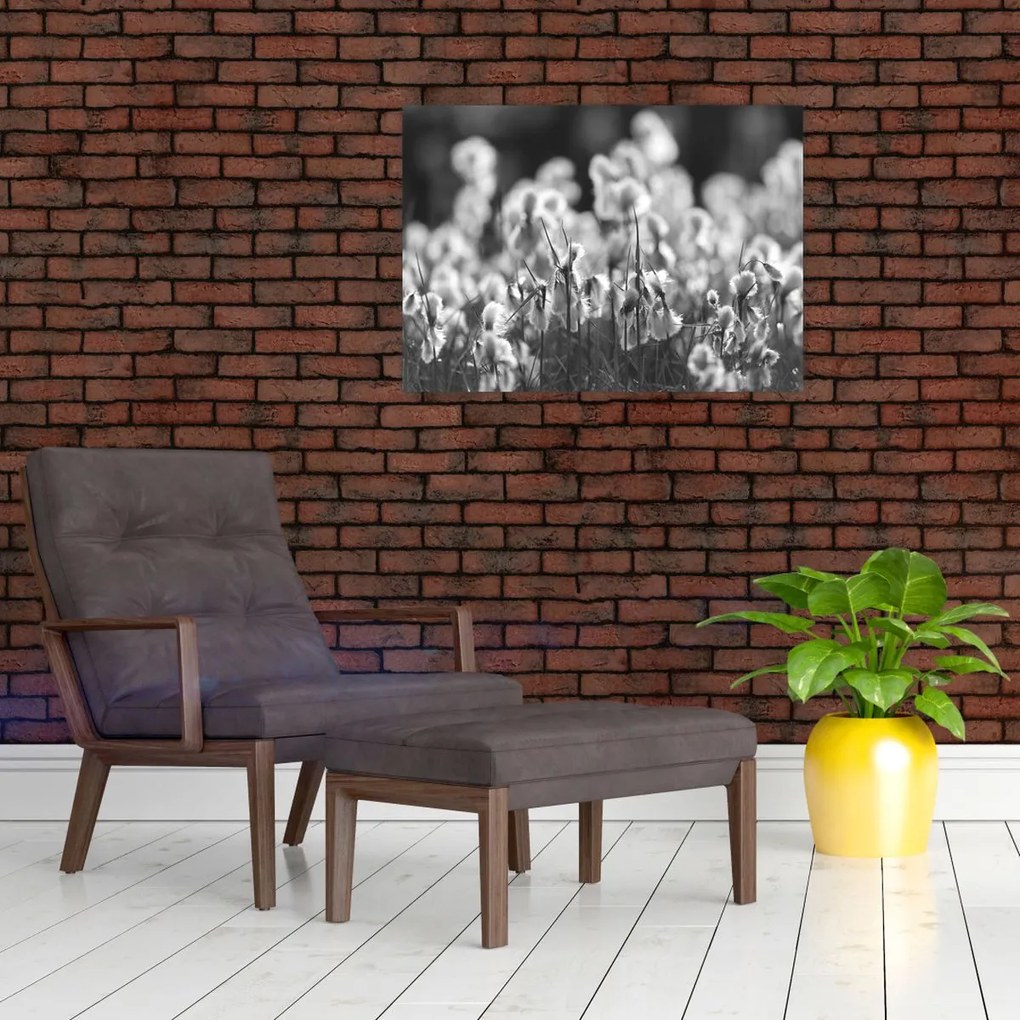 Kép - Nyári rét (70x50 cm)