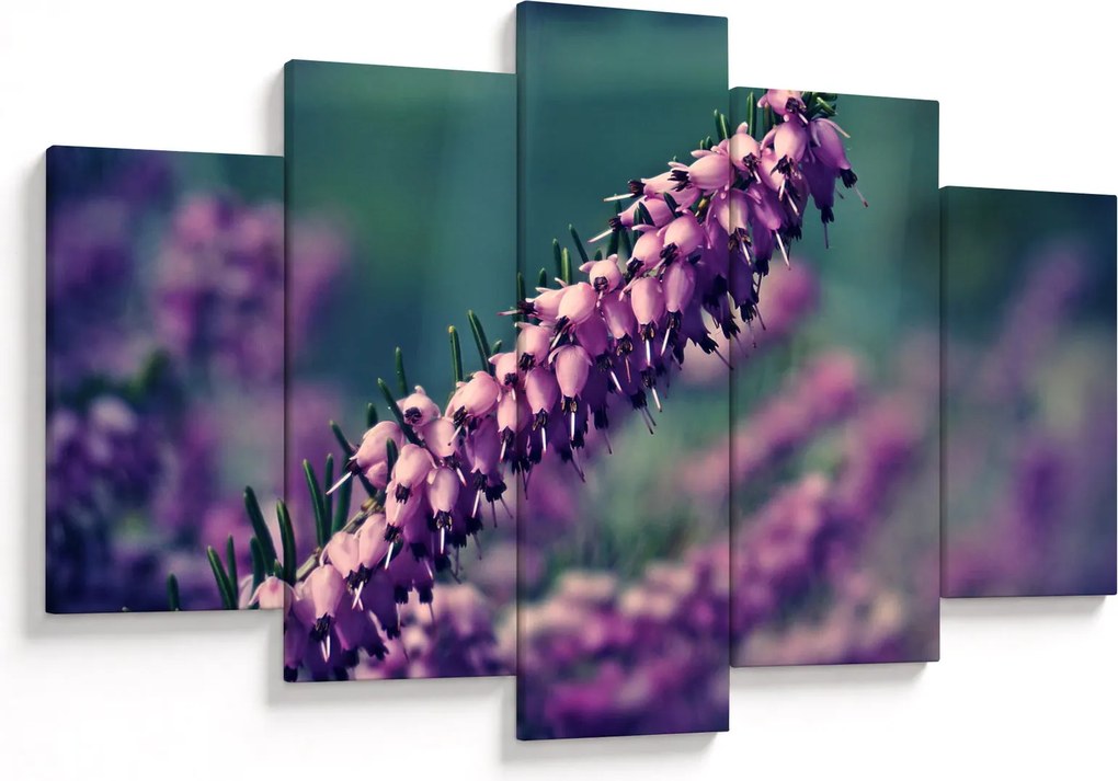 Levandula képe (150x105 cm)