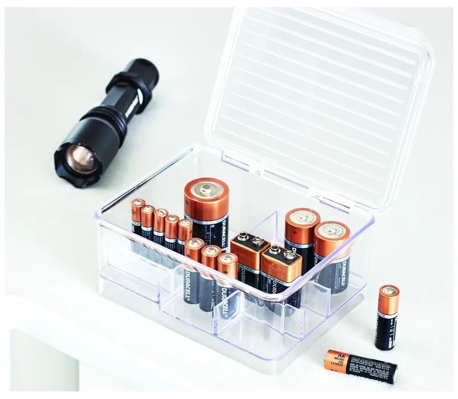 Linus átlátszó rendszerező rekeszekkel és fedéllel, 17 x 14 cm - iDesign