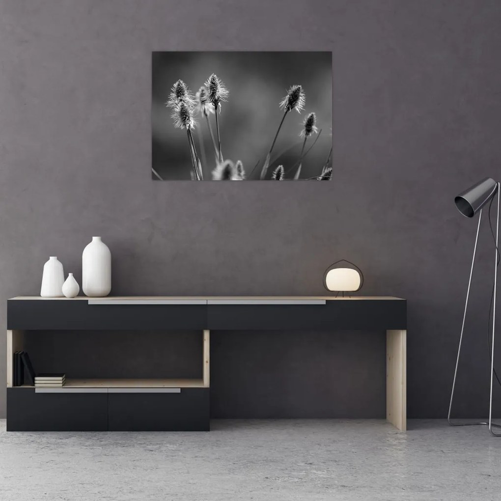 Üveg kép - Bézs színű puha fű N⁰2 (70x50 cm)