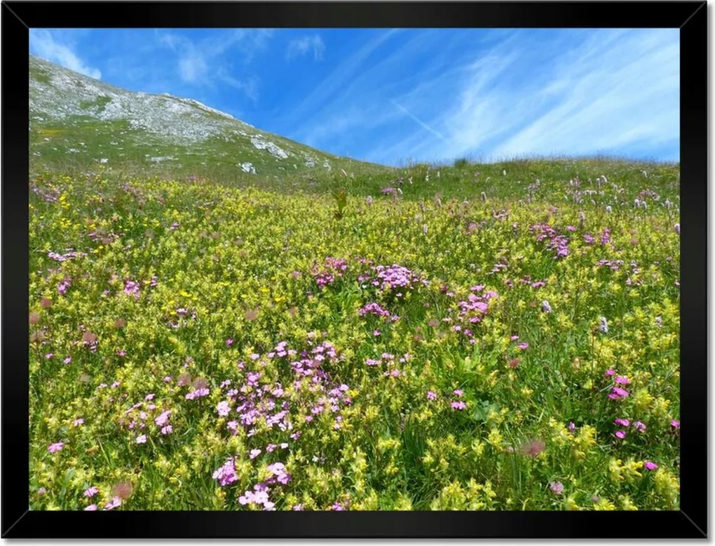 Poszterek keretben 40x30 Alpesi rét