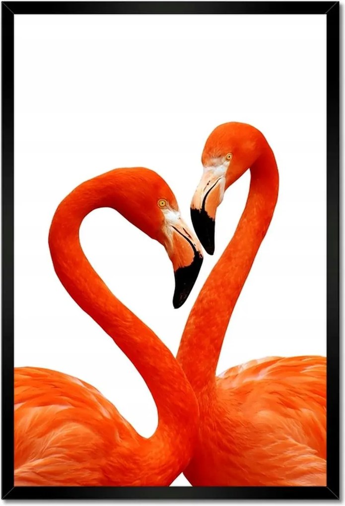 Poszterek keretben 40x60 Szerelmes flamingók
