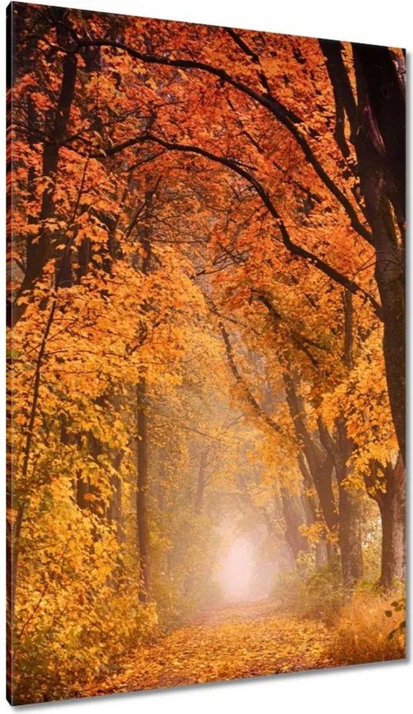 Festmények 80x120 Őszi kilátás