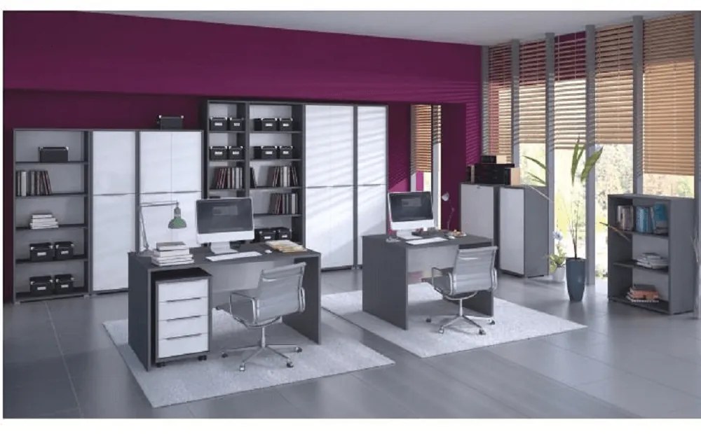 Polcosszekrény Hamila NEW TYP 05 (grafit + fehér). 1028758