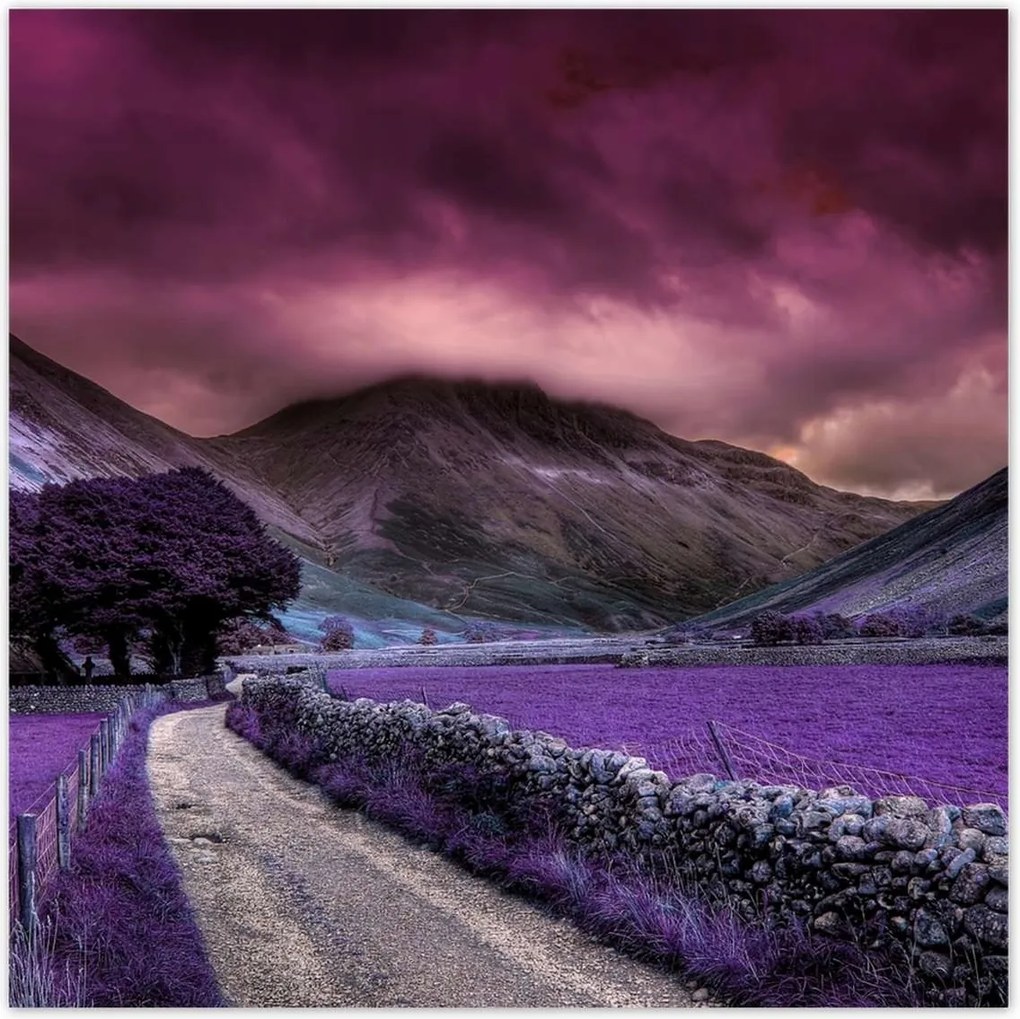 Poszterek 70x70 Lila tájkép