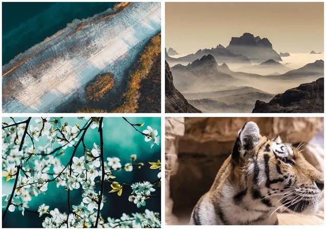 Naptár, fali, DAYLINER, Természet varázsa (NFATVB4U)