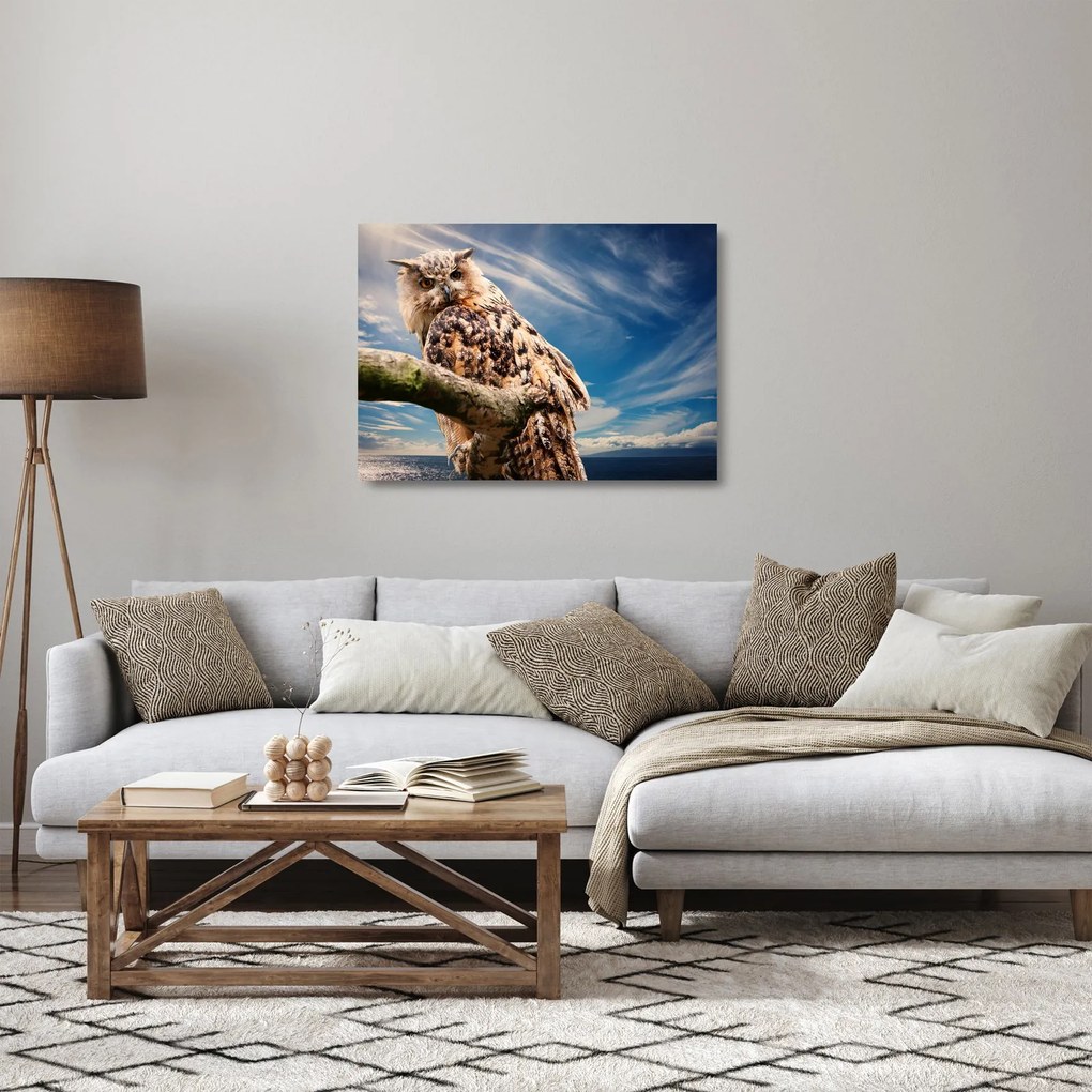 Bagoly képe (üvegen) (70x50 cm)