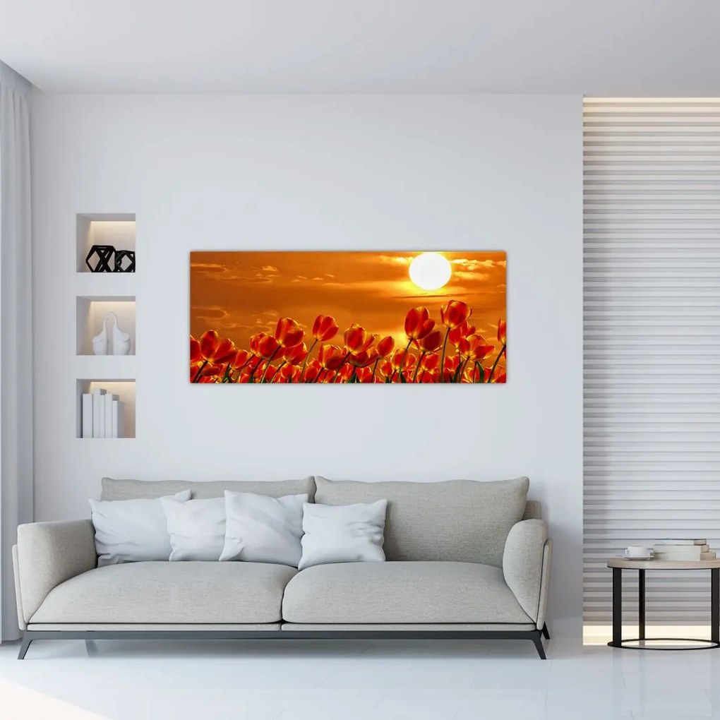 Kép egy virágzó mező tulipánokkal (120x50 cm)