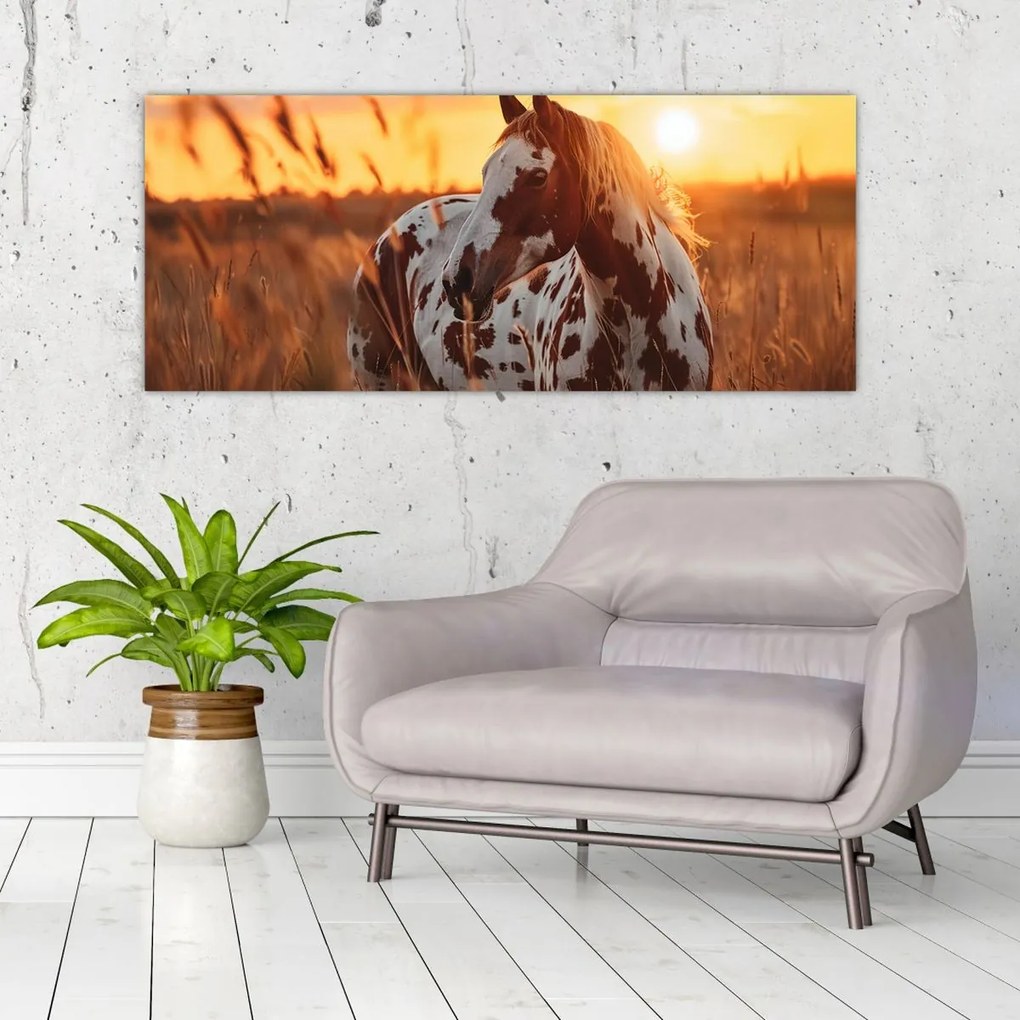 Kép - Ló naplementében (120x50 cm)