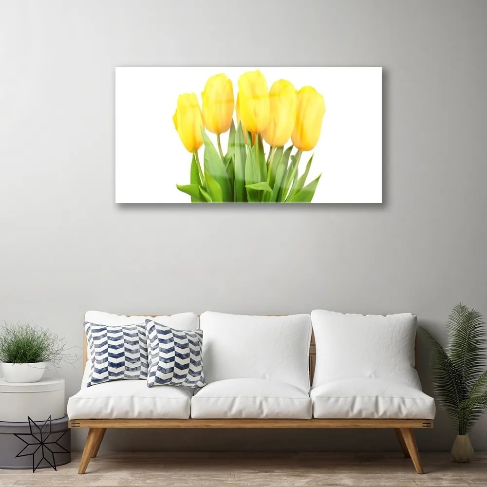 Akril üveg kép Tulipán virágok Plant 125x50 cm