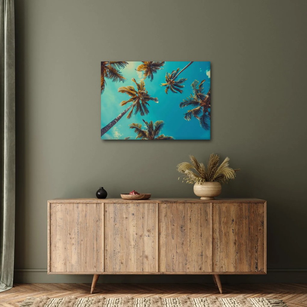 Kép - Magas pálmafák (70x50 cm)