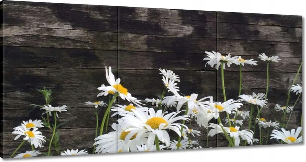 Festmények 120x60 Margaretki