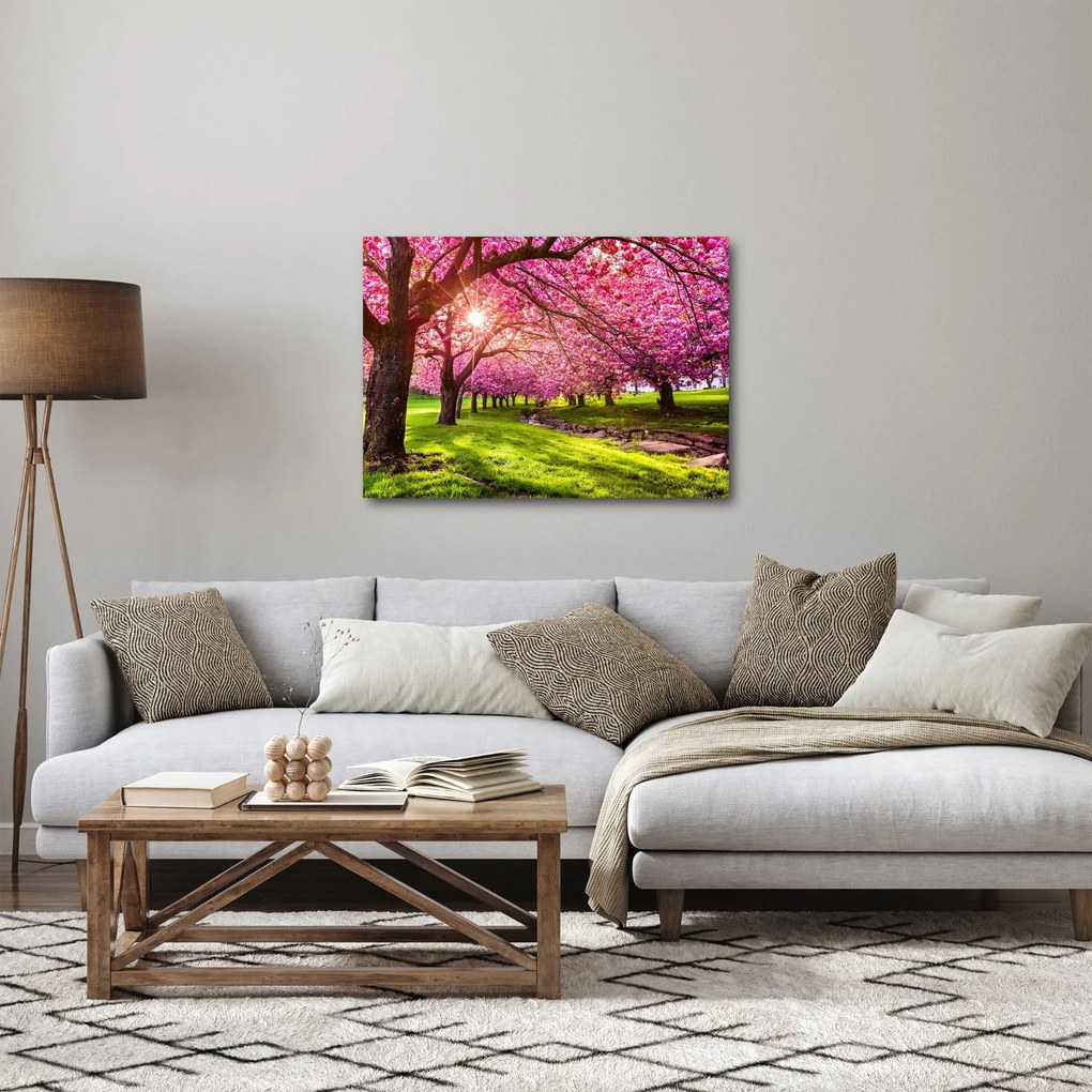 A virágzó cseresznye képe, Hurd Park, Dover, New Jersey (70x50 cm)