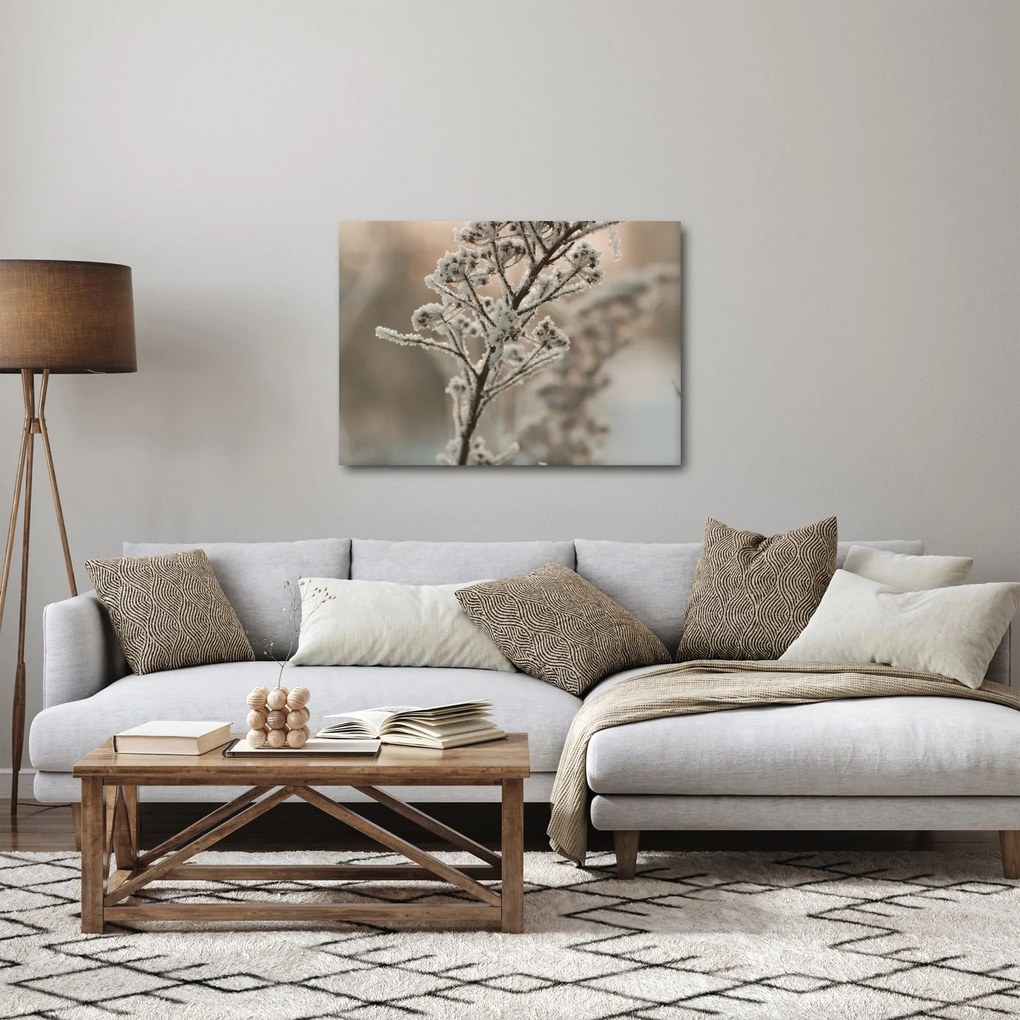 Kép - Növény fagyban (70x50 cm)