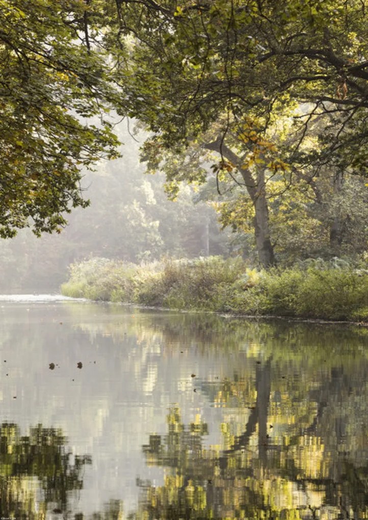 Poszter 42x59,4cm Basingstoke 3 csatorna, Assaf Frank