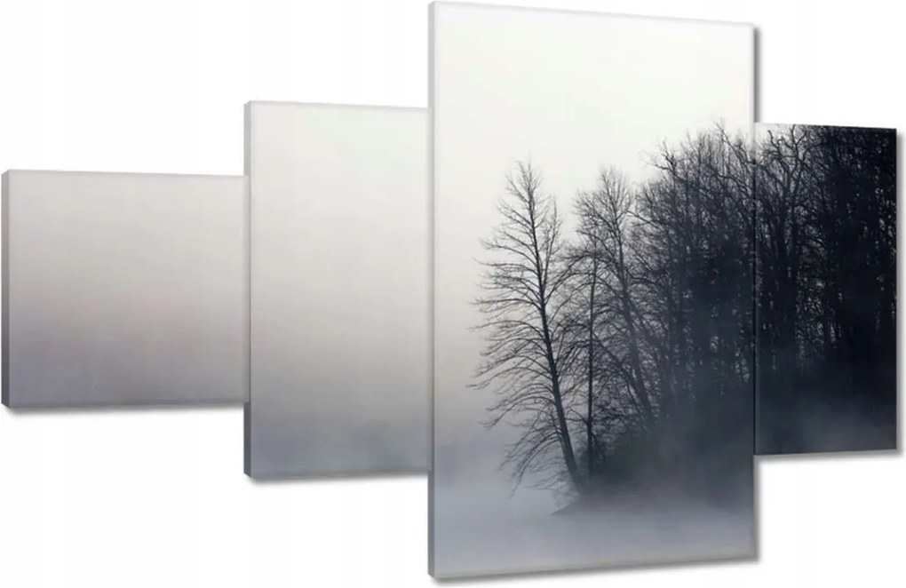 Vászonkép 130x80 Ködös erdő Tél