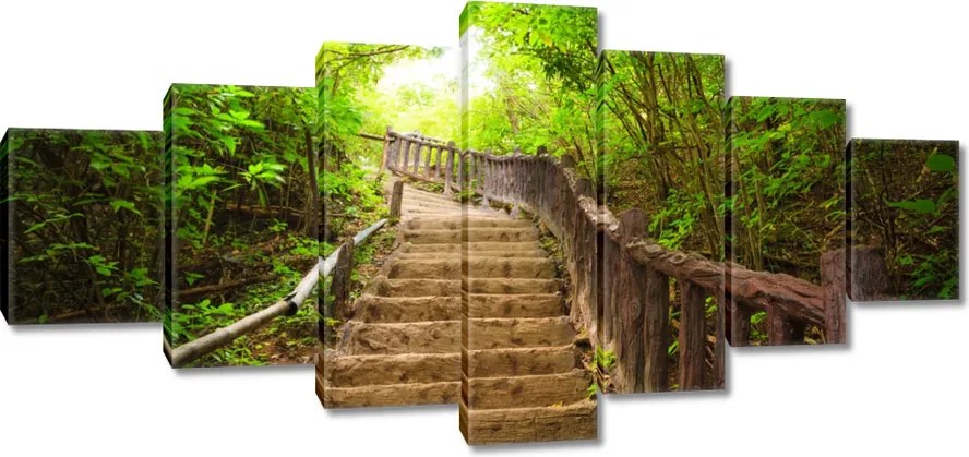 Vászonkép 210x100 Lépcsők az erdőbe
