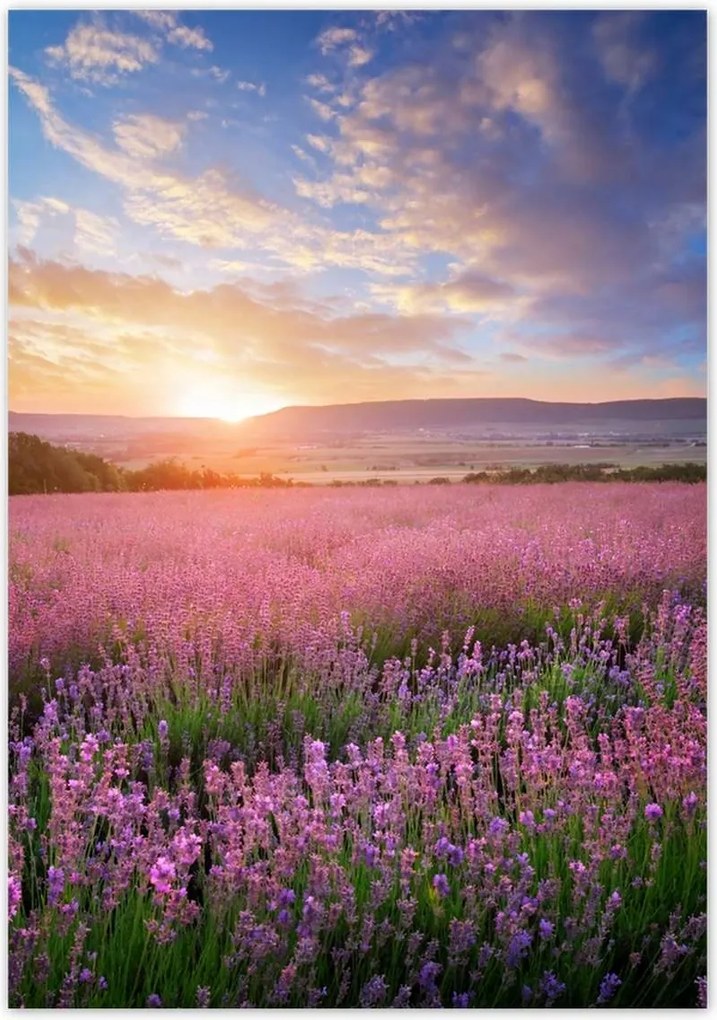 Poszterek 70x100 Csodálatos naplemente