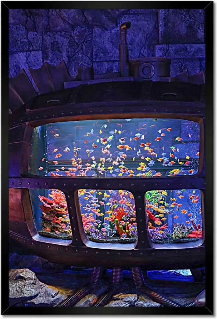 Poszterek keretben 40x60 A halak víz alatti világa