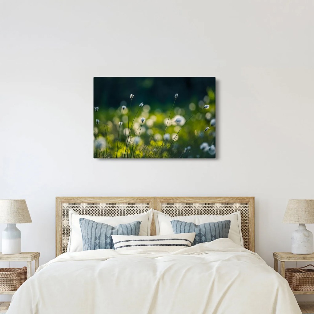 Kép - Fű (90x60 cm)