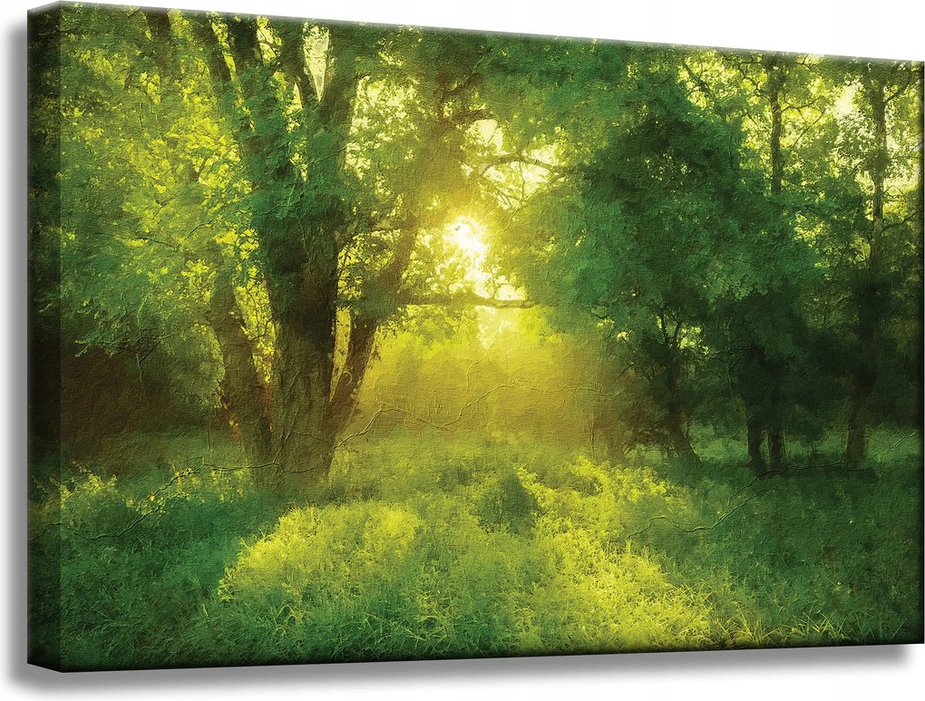 Vászonkép Pasztell Stílus Napfa 60x40 cm Ajándéknak is tökéletes