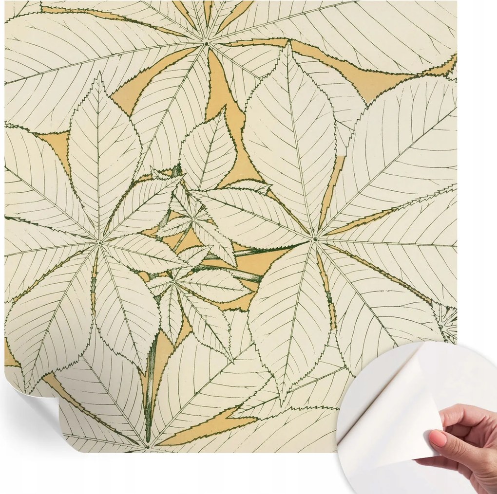 Fotótapéta Öntapadós Design Divatos Gesztenye levelek 250x250 cm