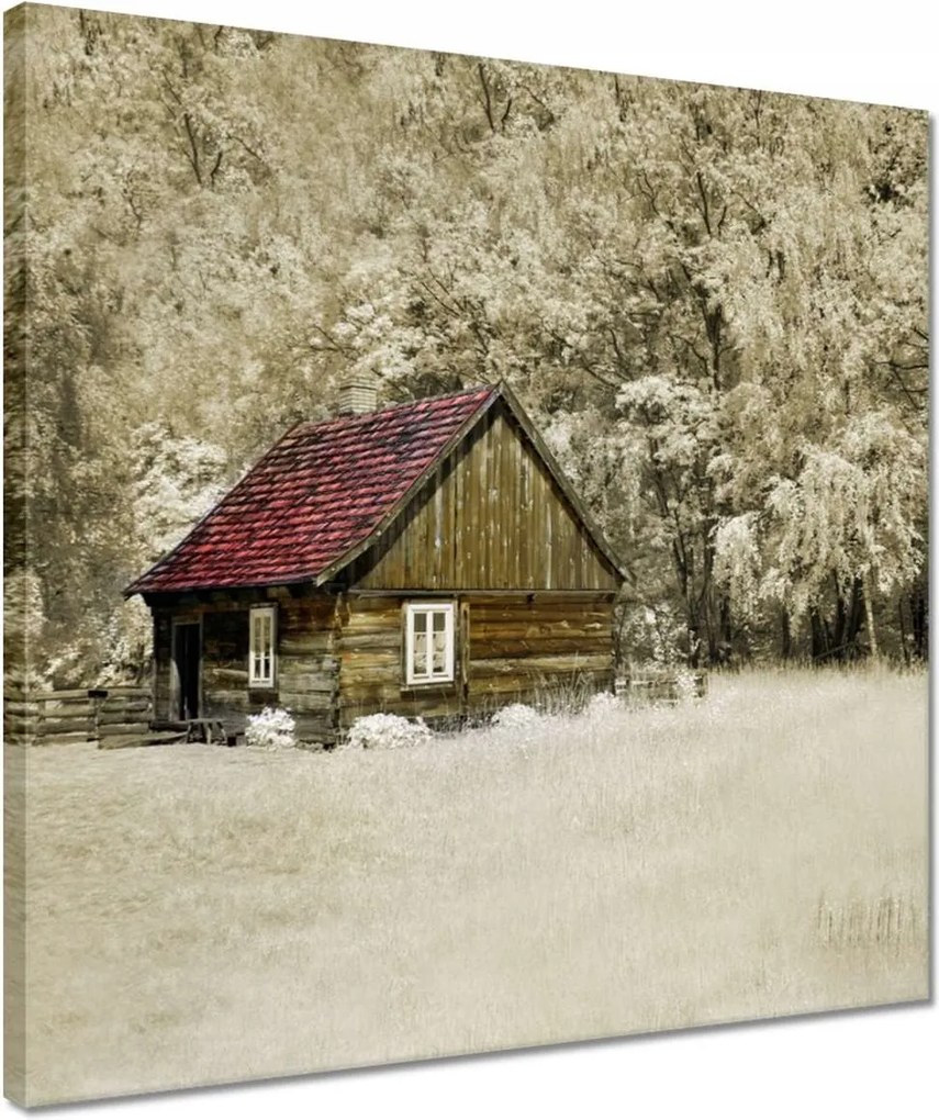 Vászonkép 40x40 Rönkház Bale