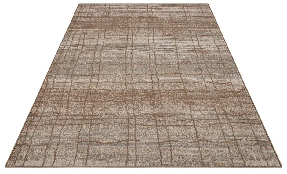 Barna-bézs szőnyeg 240x340 cm Terrain – Hanse Home
