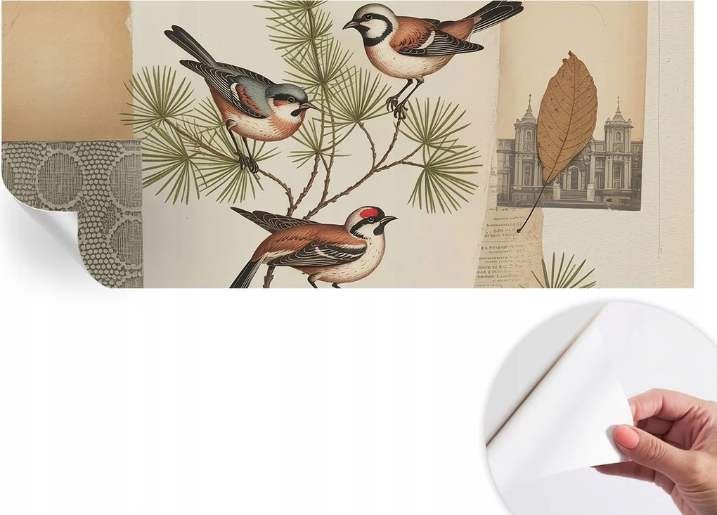 Dekoratív öntapadós fotótapéta Hálószobába Madarak collage 250x104 cm