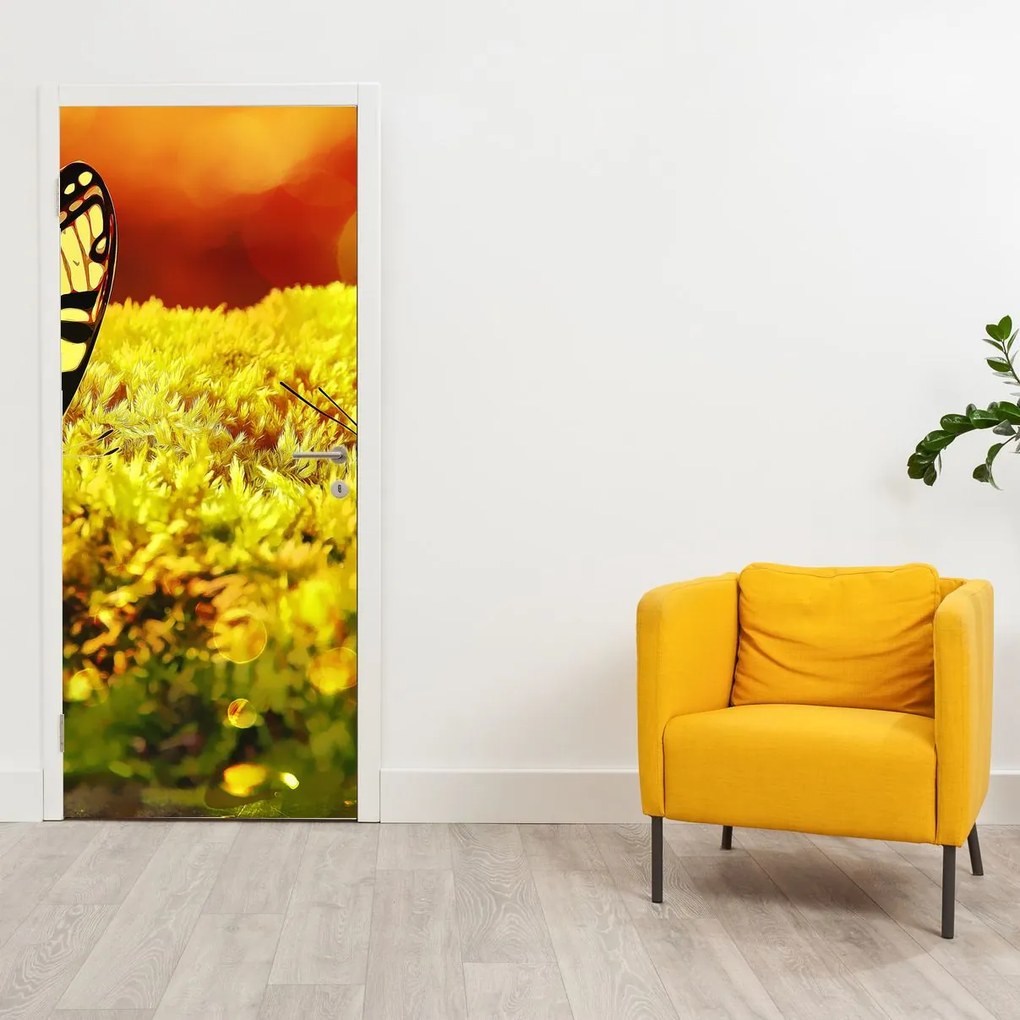 Fotótapéta ajtóra - Pillangók (95x205cm)