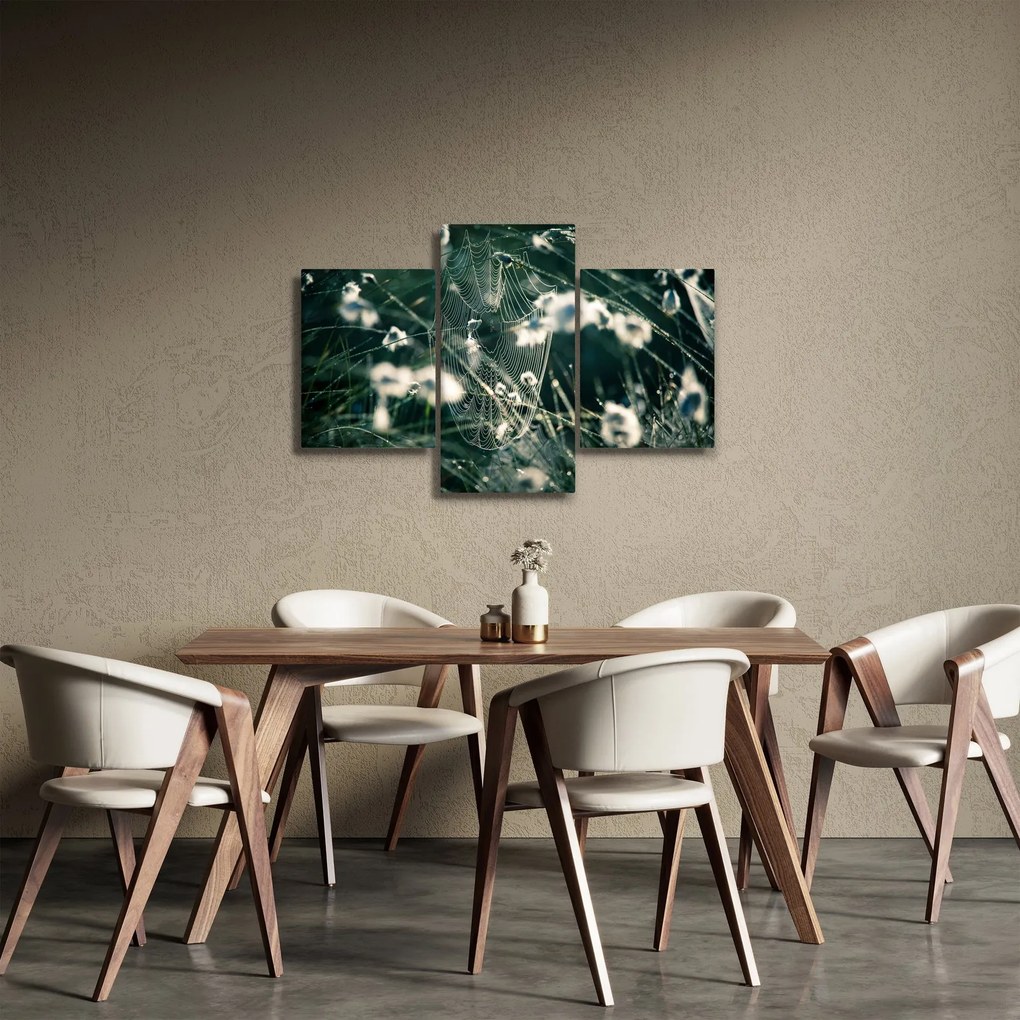 Kép - Pókháló (90x60 cm)