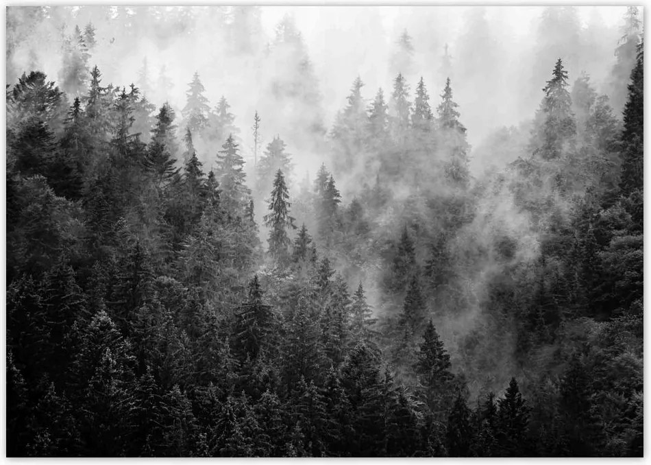 Poszterek A4 Szint Tájkép Szürke Hegyek Köd