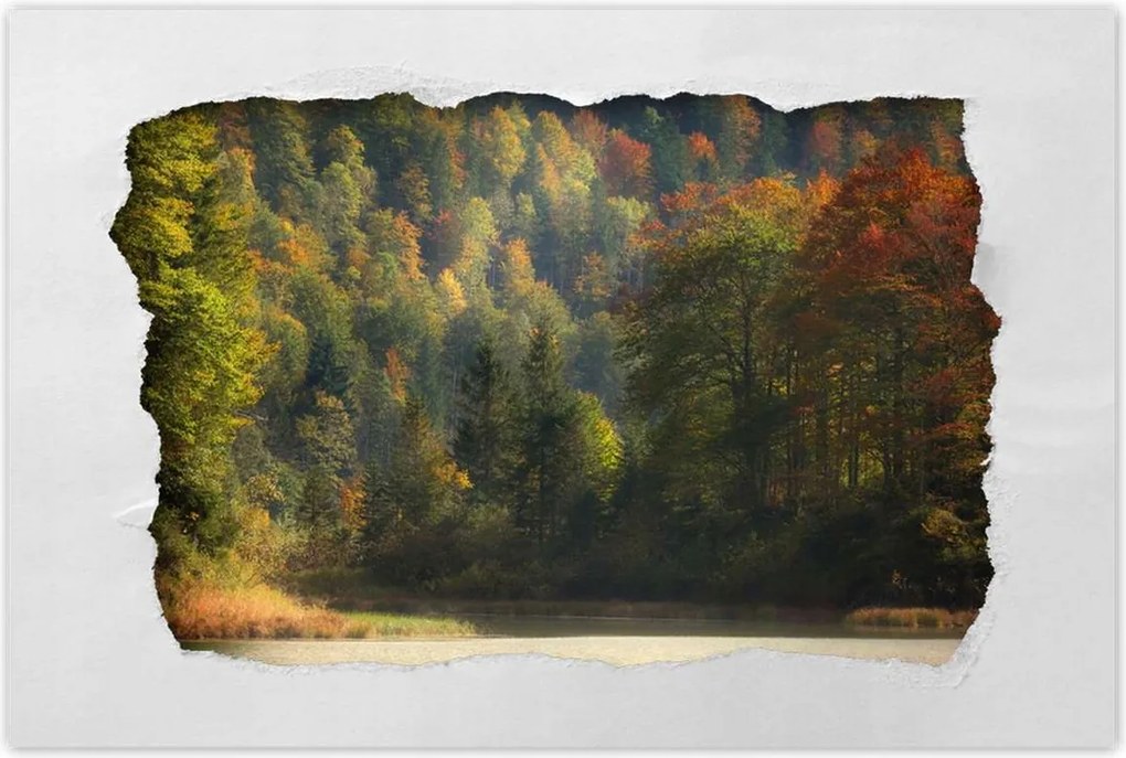 Poszterek 60x40 Erdei táj Kilátás