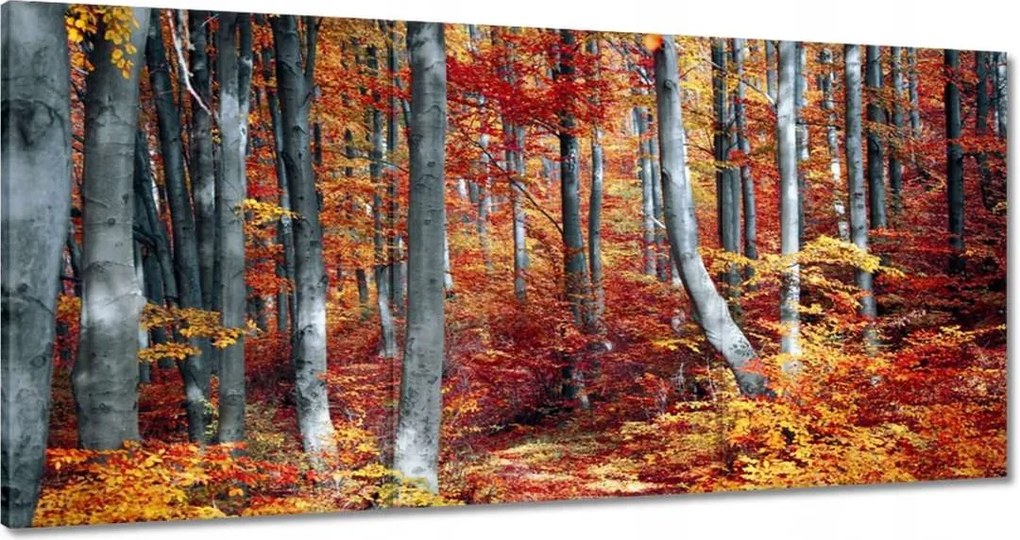 Festmények 180x90 Tájkép