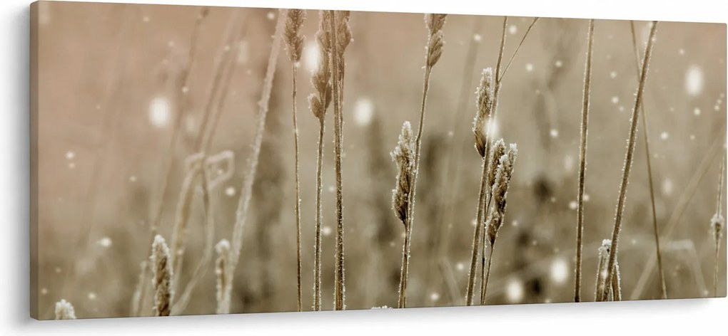 Kép - Harmonikus rét (120x50 cm)