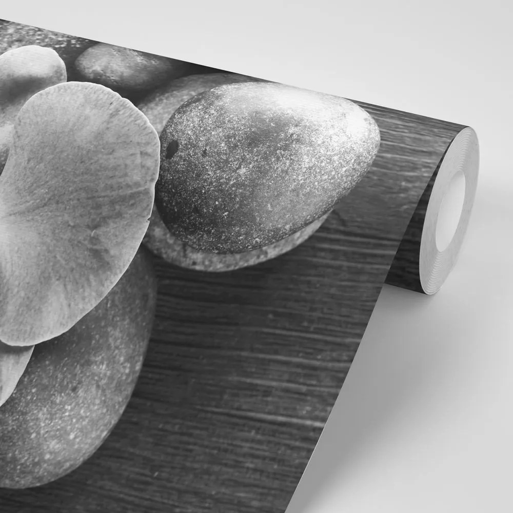 Öntapadó fotótapéta orchidea és kövek fekete-fehérben