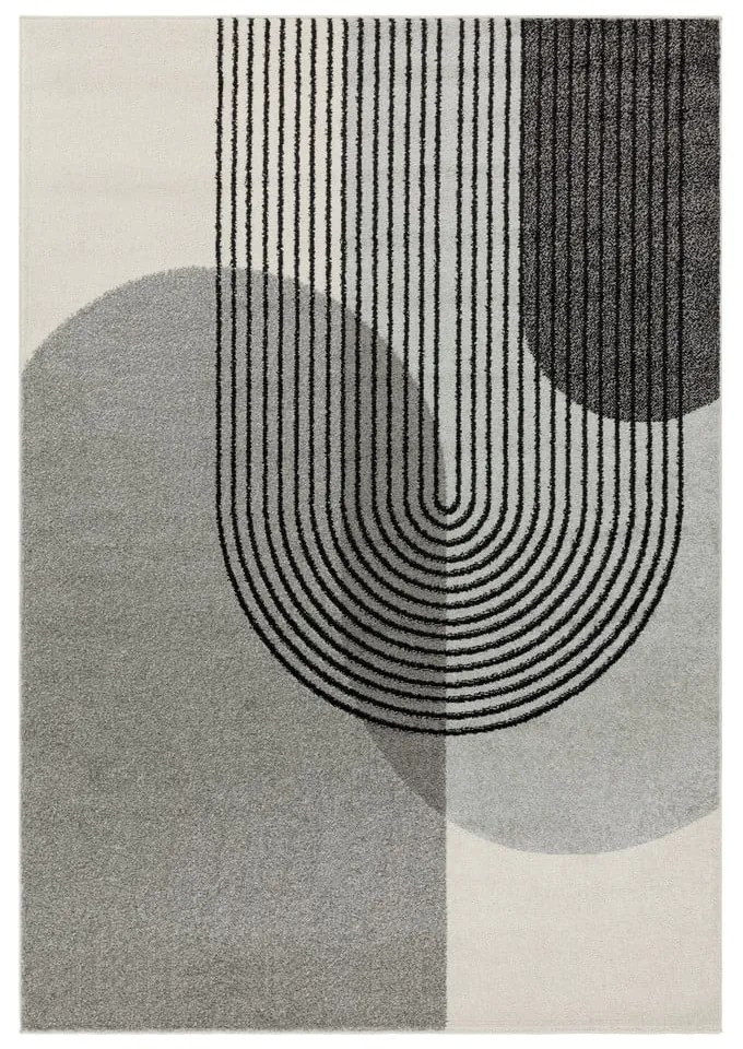 Szürke szőnyeg 230x160 cm Muse - Asiatic Carpets