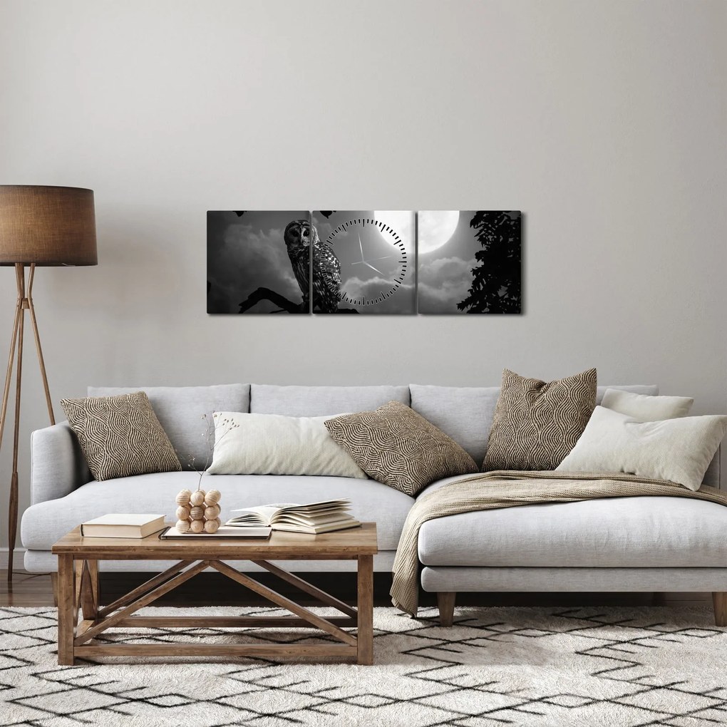 Kép - Éjjeli bagoly, fekete-fehér (órával) (90x30 cm)