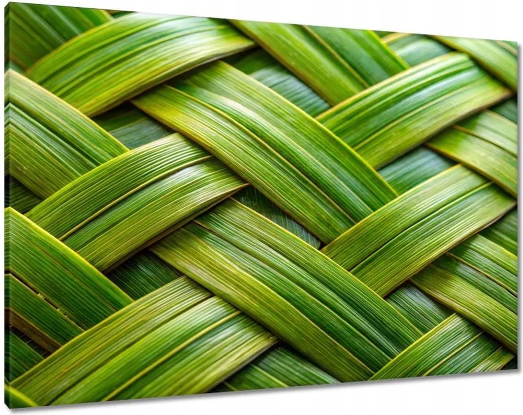 Vászonkép 100x70 Zöld fonott zöld rattan fonott lemez