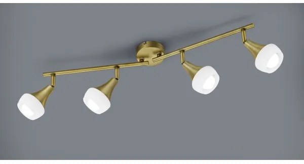 TRIO - Spotlámpa TRUMPET 4xE14/40W/230V