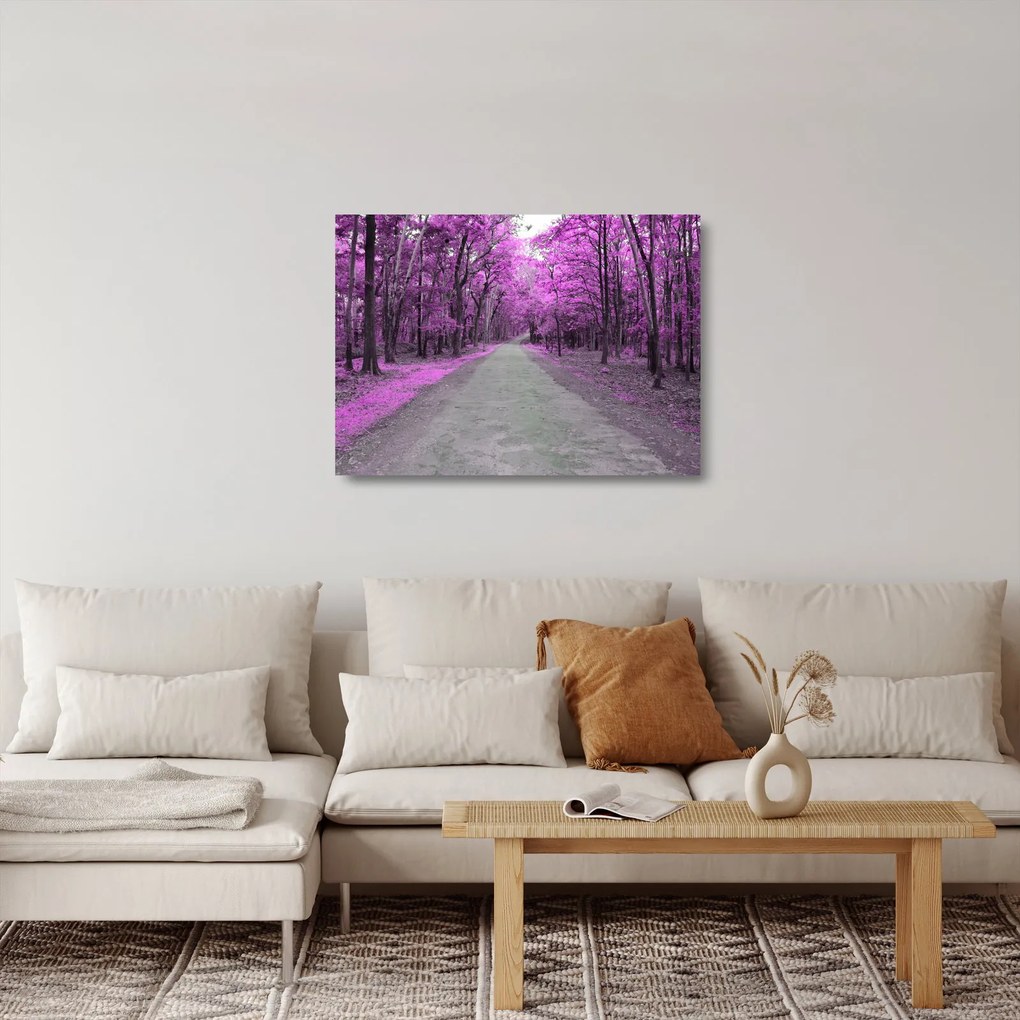 Kép - Út a parkon (üvegen) (70x50 cm)