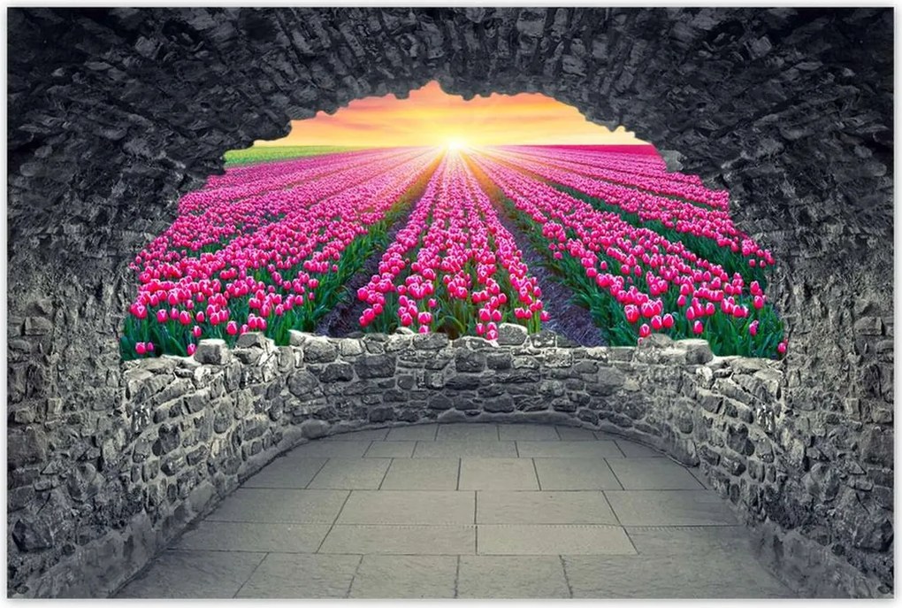 Poszterek 60x40 Tulipánok tengere Virágok