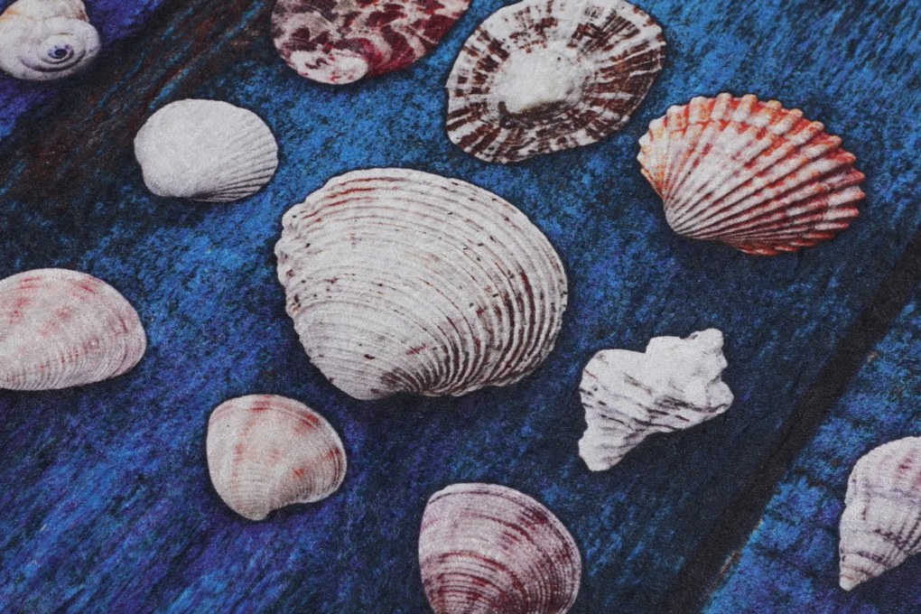 Seashell (70 x 120)