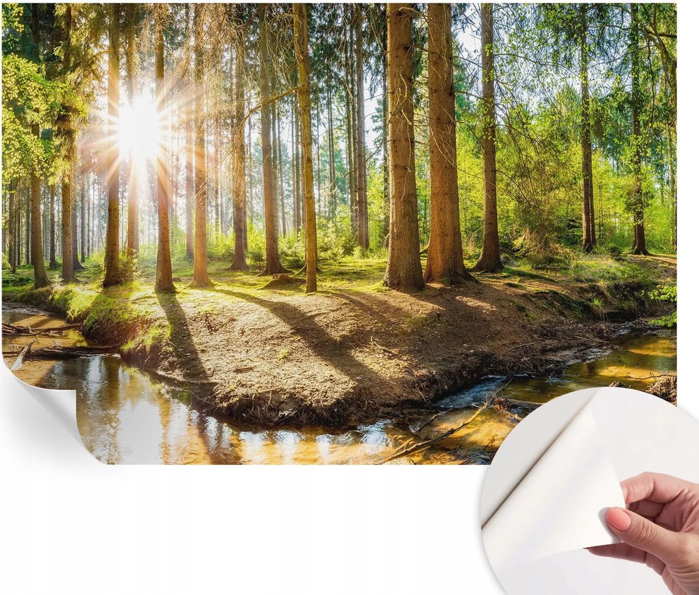 Öntapadós Dekoratív Fotótapéta Hálószobába Erdei idill 152x104 cm