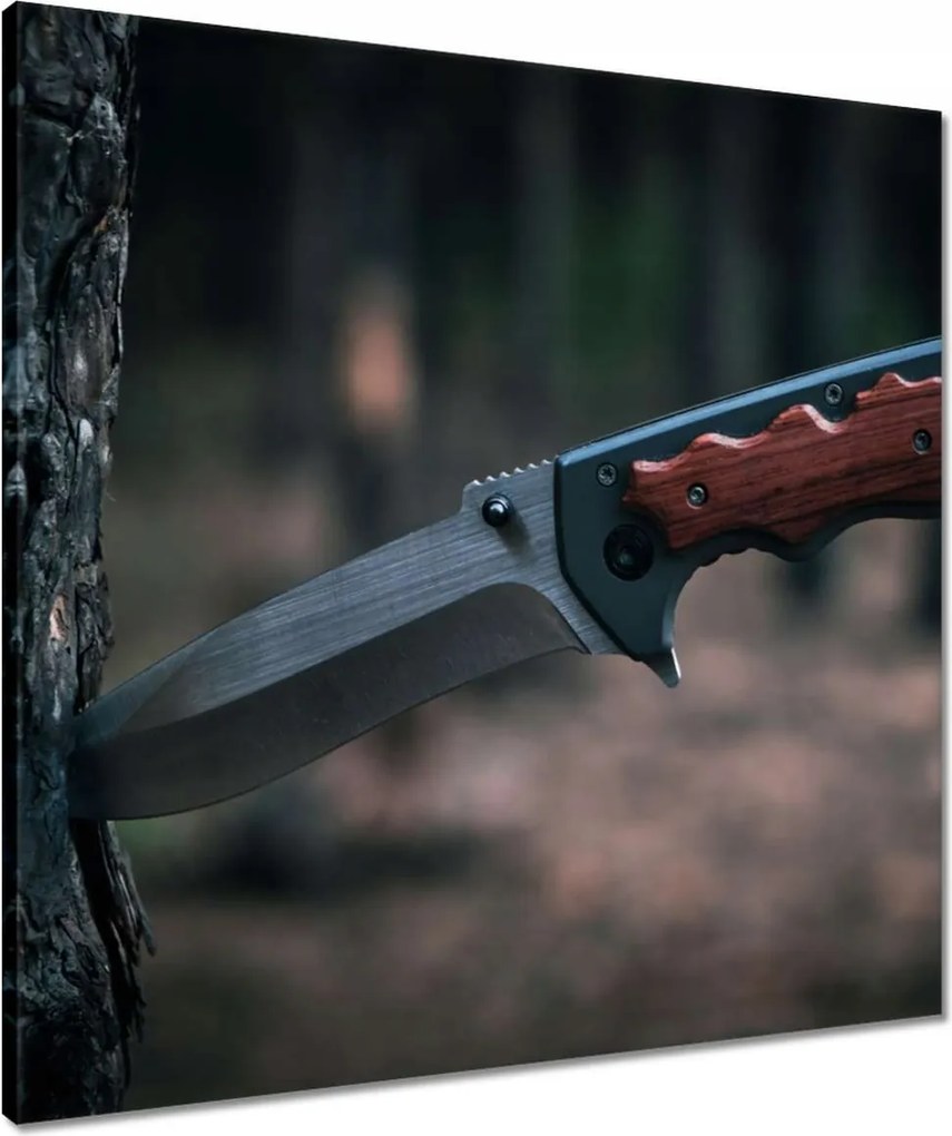 Vászonkép 60x60 Kés a fa kérgébe szúrva